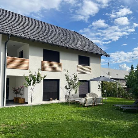Aura Apartments Zirovnica Exterior photo